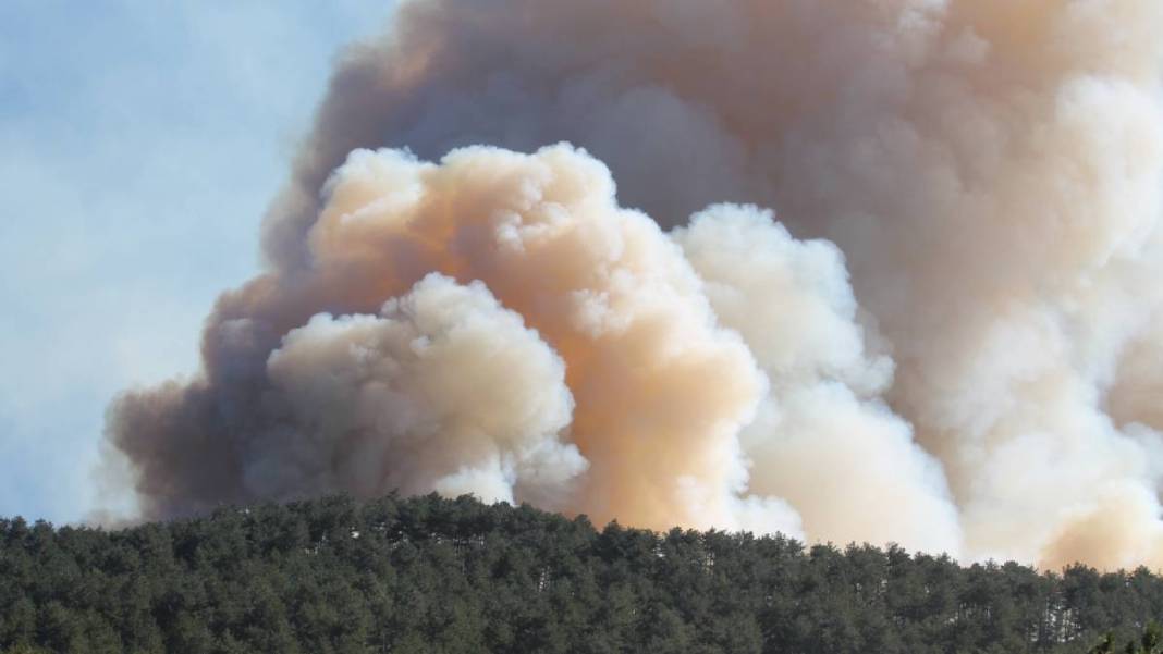Bolu'da orman yangını 2'nci gününde! Alevler 100 hektarlık alana yayıldı 7